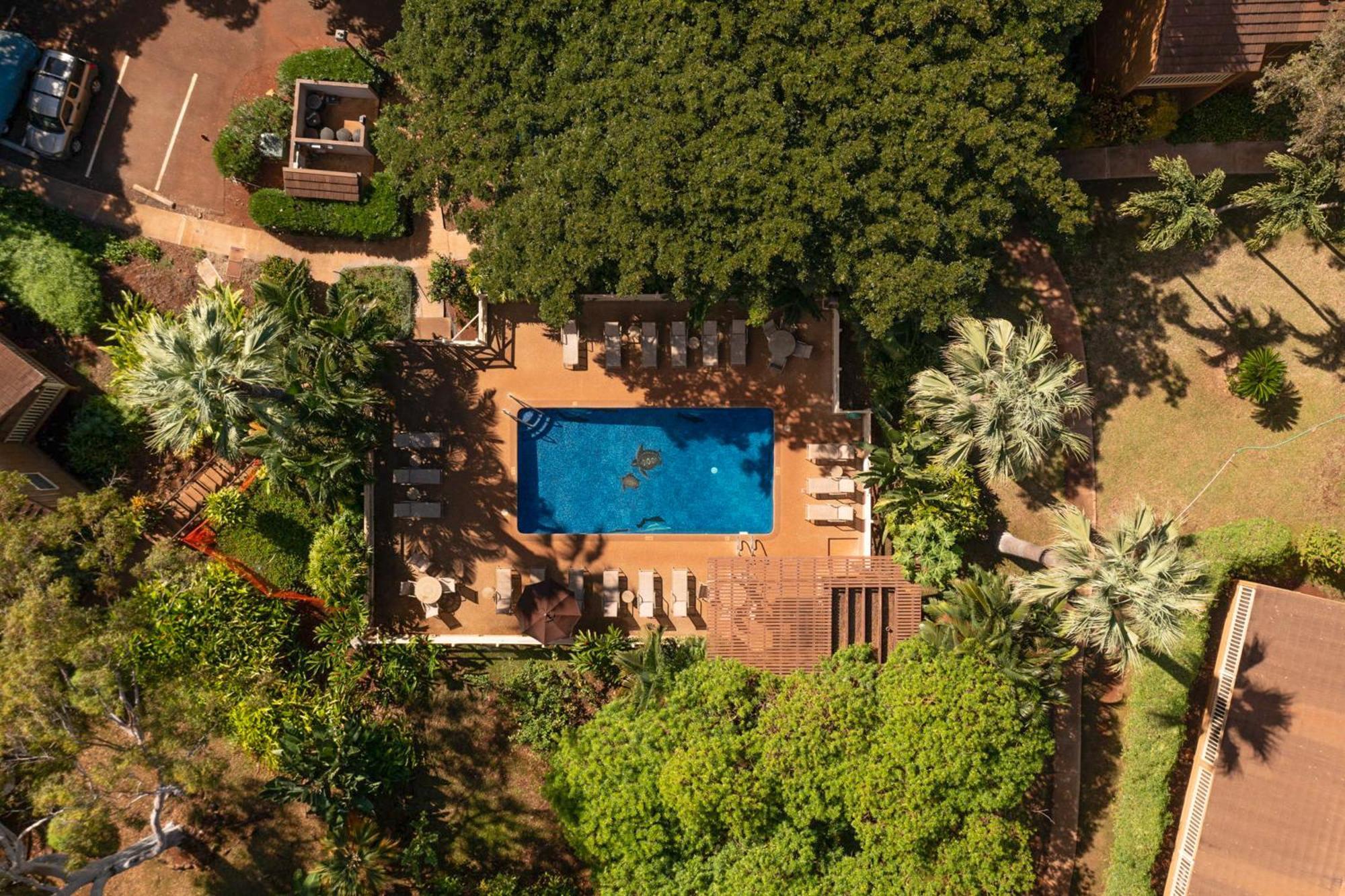 Сasa de vacaciones Paniolo Hale